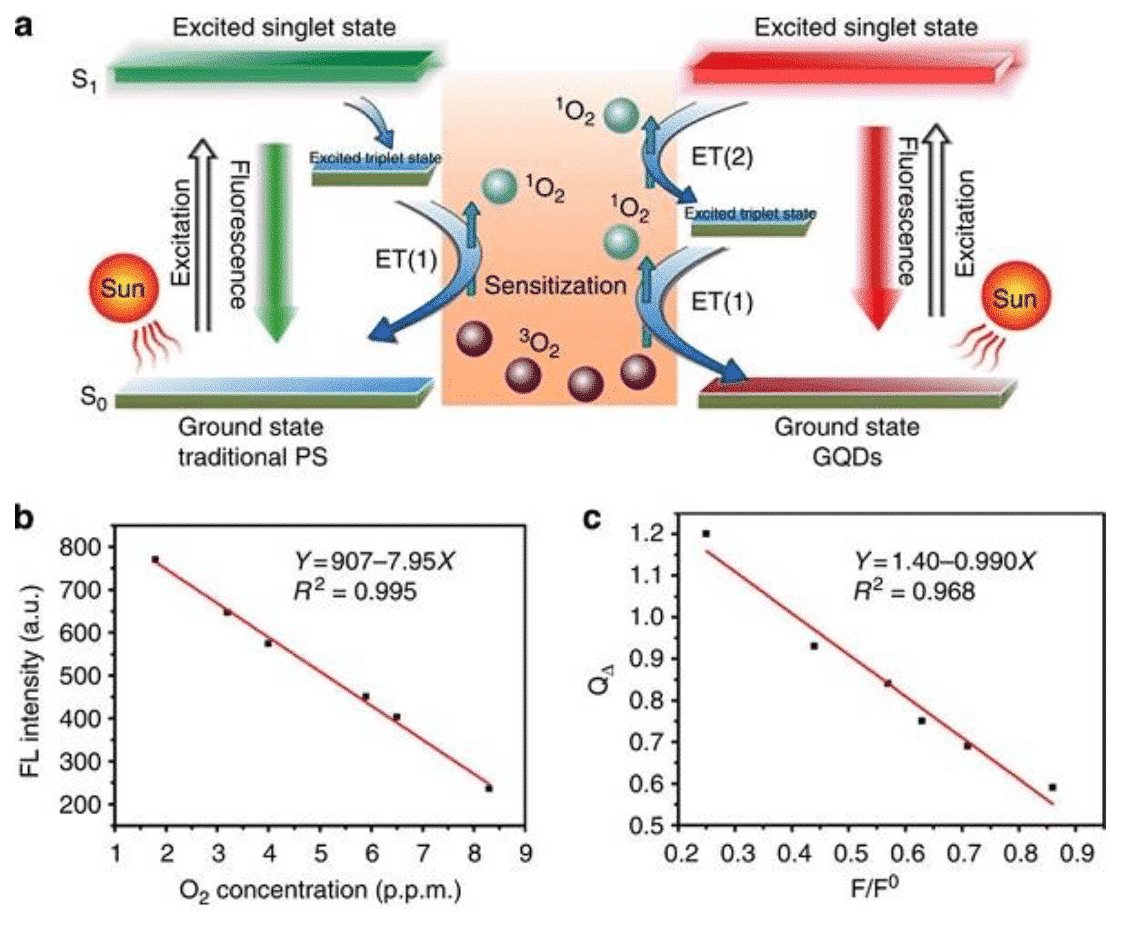 The development of quantum dots - from definition to application 5