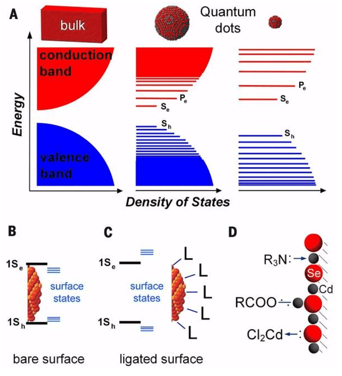 The development of quantum dots - from definition to application 1