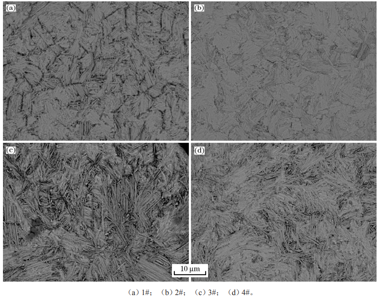 the microscopic structure of spherical cast tungsten carbide powder samples